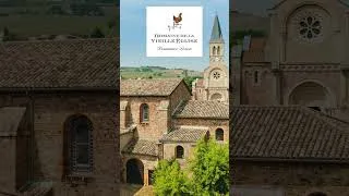 Miniature : La récolte 2025 au coeur des Domaines Loron