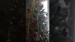 Miniature : Bonne année