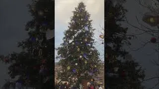 Miniature : GRAND SAPIN DE NOËL