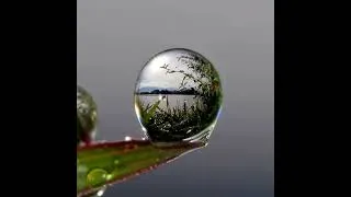 Miniature : LE REGARD REGARDÉ