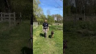 Miniature : Être éducateur canin … 💣🤯 #chien