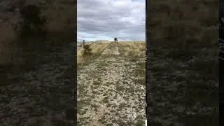 Miniature : Idée d'exercices en extérieur : courir avec son cheval