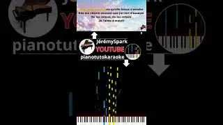 Miniature : Je l’aime à mourir Francis CABREL #karaoke