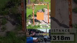 Miniature : 338LM longue distance groupement
