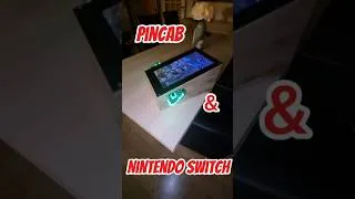 Miniature : Une Nintendo Switch transformée en mini flipper ! #gaming