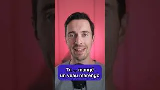 Miniature : MASTER French Past Tense in MINUTES!