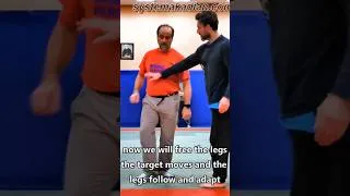 Miniature : Absorber les poussées vol. 2 #systema #selfdefense #survie #martialarts #systemajeromekadian