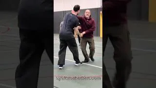 Miniature : Manipuler des grands gabarits.#systema #selfdefense #martialarts #detruirelastructure #survie #mma