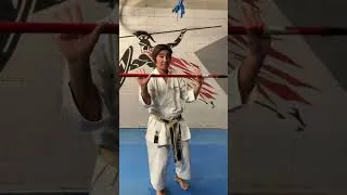 Miniature : 🚫 “Arrête de répéter dans le vide : comprends enfin ta technique.#boostetonkarate #karate