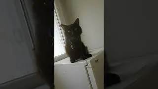 Miniature : 3 ans aujourd'hui ma Fifille 🥰😍😍