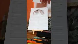 Miniature : Tournons la page du calendrier ensemble. #protectionanimale #calendrier #portraitanimalier