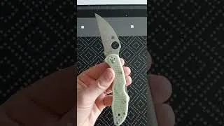 Miniature : #spyderco délica 4 warncliffe custom