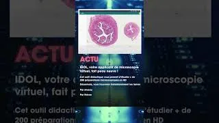 Miniature : Newsletter Innov'action Numéro 1 - Jeulin TV