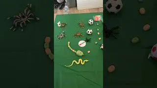 Miniature : Je joue a SNAKE dans la vrai vie