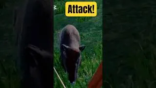 Miniature : Attacked by a wild boar (in VR)