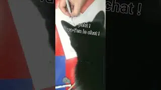 Miniature : Un punk à chien en ville... projet BD