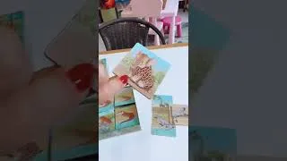 Miniature : MANIPULATION SYLLABIQUE 🌈