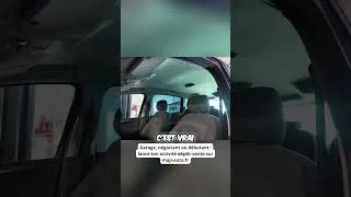 Miniature : Ford S Max Catastrophique ?