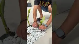 Miniature : Je ne sors plus sans faire ça ! 🧼