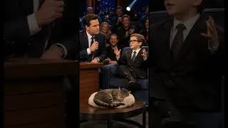Miniature : Pourquoi les chats dorment autant? #viral #humour #interview #funny #funnykids #blague #reels #humor