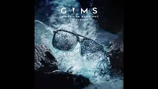 Miniature : GIMS - Telegram