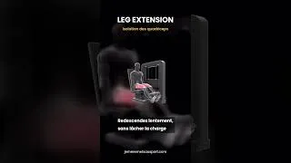Miniature : leg extension machine