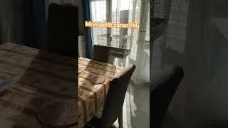 Miniature : Mon petit canari Mj