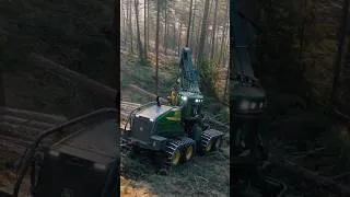 Miniature : Pas seulement couper des arbres. Maîtriser la forêt. 🌲