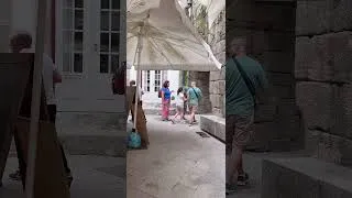 Miniature : Riz au canard au Portugal.  #voyage #restaurant #camino #portugal #shortvideo #shortsfeed #humour