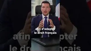 Miniature : Le RN promet un référendum sur l'immigration #bardella #news #europe #référendum #RN
