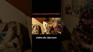 Miniature : je m'énerve en découvrant mes cadeaux de Noël... #humour #drole #noel #shorts