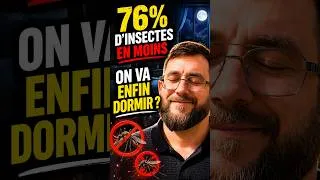 Miniature : VIVE LES INSECTICIDES !