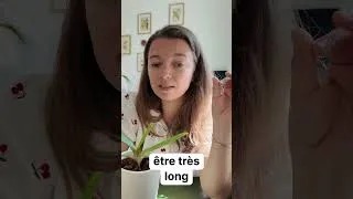 Miniature : Attention aux racines de Sabot de Vénus !