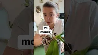 Miniature : 3 leçons sur le rempotage des #orchidées