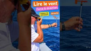 Miniature : Direction et force du vent