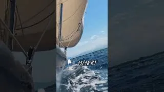 Miniature : 18 KT de vent, Joy file sur l’eau ⛵