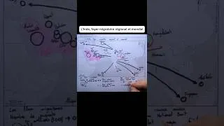 Miniature : L'Inde, un bon exemple des migrations internationales ? #brevet #géographie #histoire #4e #carto