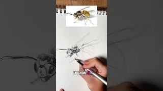 Miniature : Alors vous avez réussi ? 😁 #dessiner #dessin #apprendreledessin #coursdedessin #tutodessin