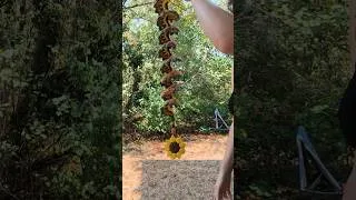 Miniature : Moulin à vent Spirale Girouette Tournesol au Crochet
