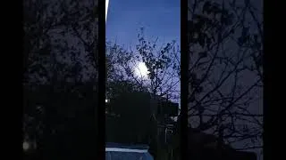 Miniature : 🌓🌓🌓🌓