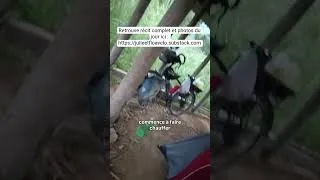 Miniature : voyage à vélo féminin en solo au Vietnam jour 1 (J1034 de voyage) lien linktree en bio