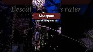 Miniature : Singapour : l’escale à ne pas rater ! 🇸🇬