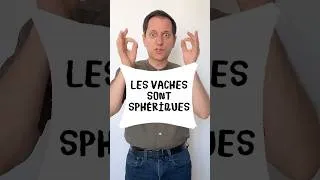 Miniature : Les vaches sont sphériques (vidéo n°559)