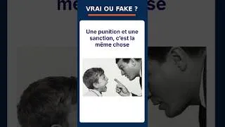 Miniature : Vrai ou Fake ? Punition et sanction