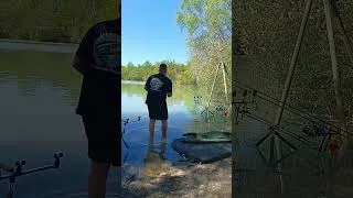Miniature : Esturgeon domaine des pins #carpfishing #carp #fishing #esturgeon #fish