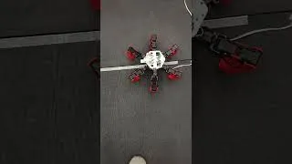 Miniature : Top view of a slow walk of the AntBot hexapod robot (© Julien Dupeyroux and Ilya Brodoline, 2022)
