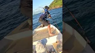 Miniature : La quête des géants TRAILER #pêche  #dpsg #fish #poisson #pennfishing