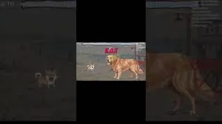 Miniature : Mais c'est pas un chien ça 🧍