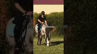 Miniature : Vivre ❤️🐴 #été #horse #equestrianjourney #2k26 #equestrian #canicule #pony #cheval #chevalpassion