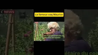 Miniature : Il était une fois le procès du coq Maurice...#viral #shorts #short #1million